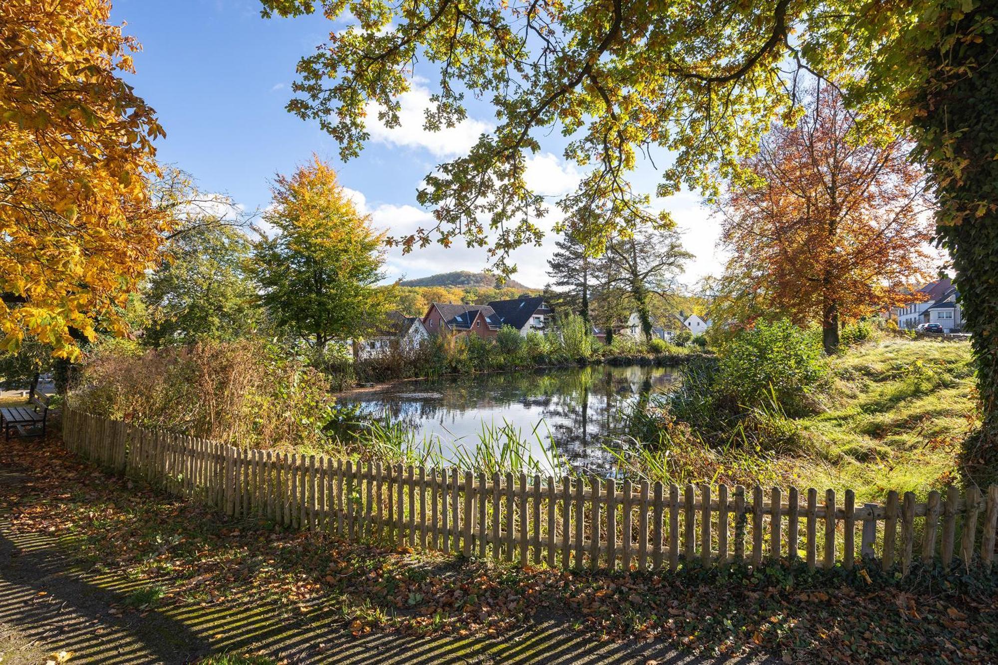 Gaestehaus Am Muehlenteich Schieder-Schwalenberg Exteriér fotografie